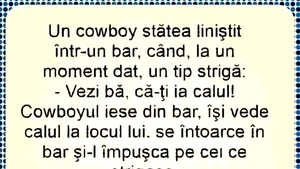 BANC | Un cowboy stătea liniștit într-un bar