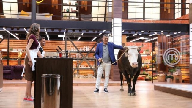 CNA a amendat Pro TV cu 10.000 de lei! Motivul: o vacă în platoul emisiunii MasterChef