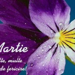 Imagine Galerie #3
