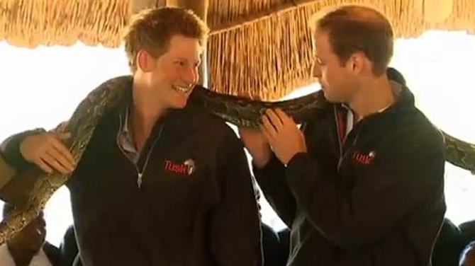 VIDEO Printii Harry si William s-au jucat cu un piton imens!