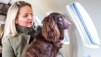 Avioane private pentru animalele de companie răsfăţate! Această companie aeriană a lansat un serviciu pentru iubitorii animalelor! 