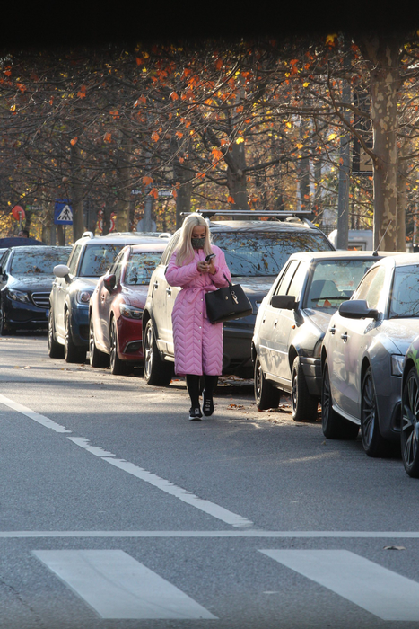 Anda Adam a optat pentru o geacă lungă, peste genunghi și roz. Masca a fost și ea deosebită, neagră și cu paiete