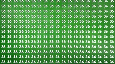 Iluzie optică virală | Depistați numărul 63 ascuns printre 36! Doar 1 dintre 100 de oameni poate