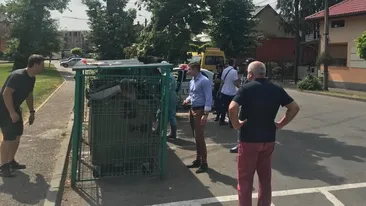 Descoperire macabră într-un tomberon din Baia Mare. Ce a găsit o femeie care ducea gunoiul