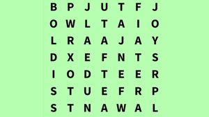 Test de inteligență | Găsiți cuvântul "taxi" în maximum 5 secunde!