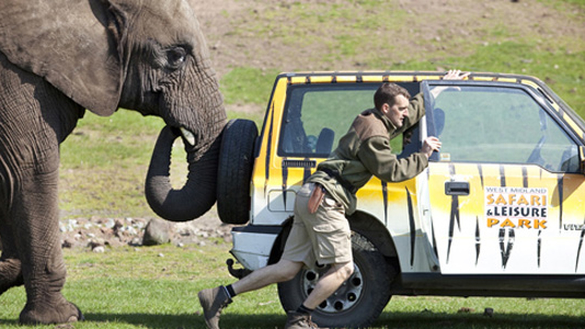 FOTO IMPRESIONANT! Un elefant a impins masina stricata a ingrijitorului