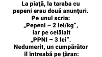BANC | La piață erau două anunțuri: pepeni - 2 lei/kg și PPNI - 3 lei/kg