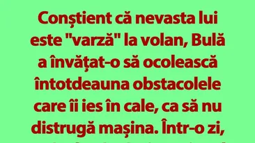 BANC | Bulă și nevasta șoferiță