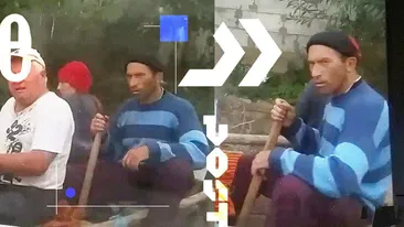 Imagini ireale cu Vulpița și Viorel, în Blăgești. Cum au reacționat cei doi, dintr-o căruță, atunci când au văzut că sunt filmați