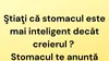 BANC | De ce este stomacul mai inteligent decât creierul