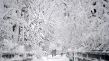 METEO 3 ianuarie 2019! ANM a făcut anunțul: Gerul loveşte România