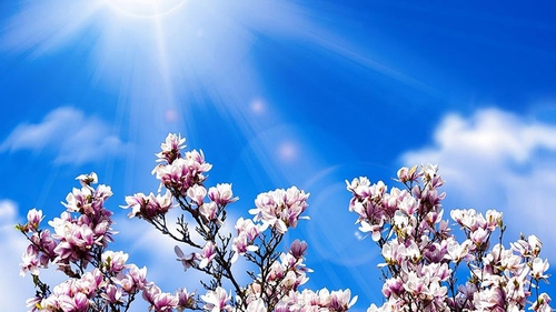 Prognoza meteo aprilie 2021. Cum va fi vremea de Florii