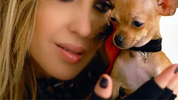 Anca Badiu isi castreaza catelusa la Viena!