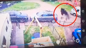 Nu i-a venit să creadă ce a văzut pe camerele de supraveghere! A chemat imediat preotul să îi sfințească locuința „A înspăimântat întreaga stradă”