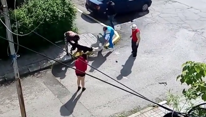 Scene terifiante în Târgovişte: un bichon a fost atacat de un pitbull, sub ochii trecătorilor