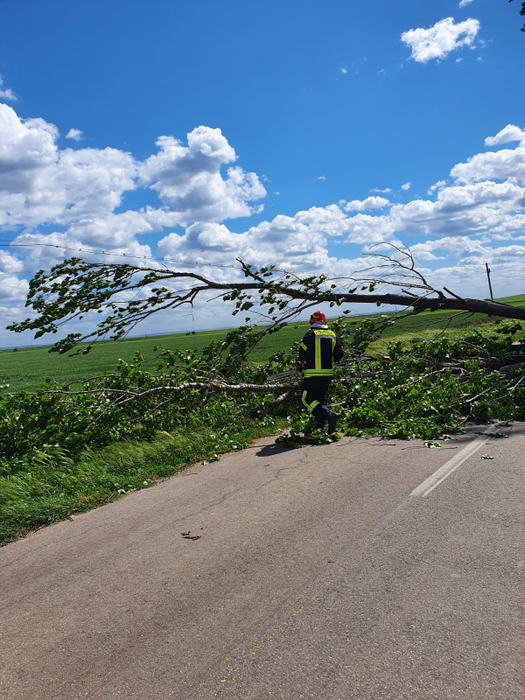 Codul galben a făcut ravagii în România. Copaci prăbușiți, drumuri blocate și mașini avariate. FOTO