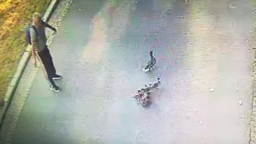Bărbat filmat când fura o rață dintr-un parc craiovean. Ce le-a spus polițiștilor