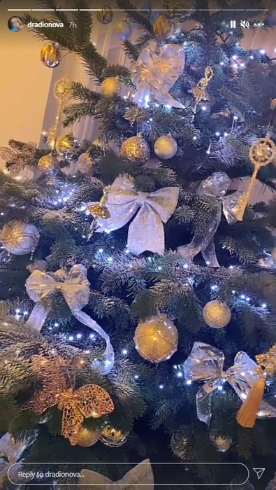 Daria Radionova și Alex Bodi au împodobit primul lor brad de Crăciun. Care este decorațiunea preferată a șatenei și durerea sufletească pe care o are după plasarea în arest la domiciliu a iubitului ei | FOTO