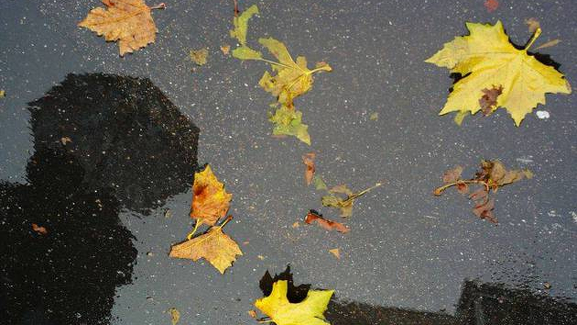 Vremea ne face o surpriză plăcută săptămâna viitoare! Află ce temperaturi vor fi in următoarele 7 zile