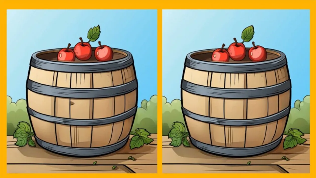 Test de perspicacitate | 3 diferențe în 13 secunde: Le puteți găsi pe toate? Foarte puțini o văd pe cea de-a treia