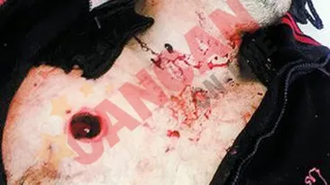 Mi-a murit in brate!