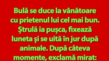 BANC | Bulă și Ștrulă se duc la vânătoare