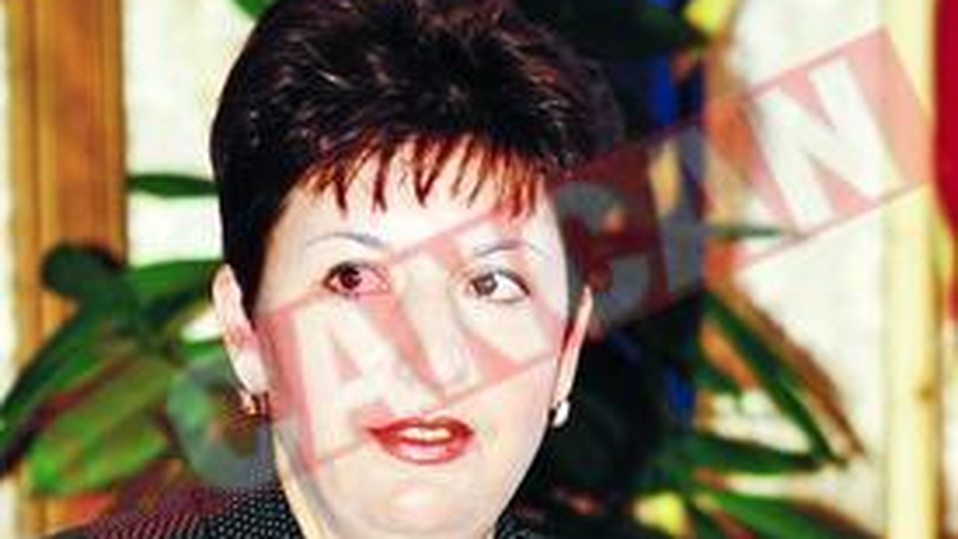 Sulfina Barbu vrea sa puna mori pe Parlament