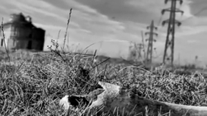 Dispariţii BIZARE, sunete înfricoşătoare, ritualuri sataniste în apropiere de Bucureşti VIDEO