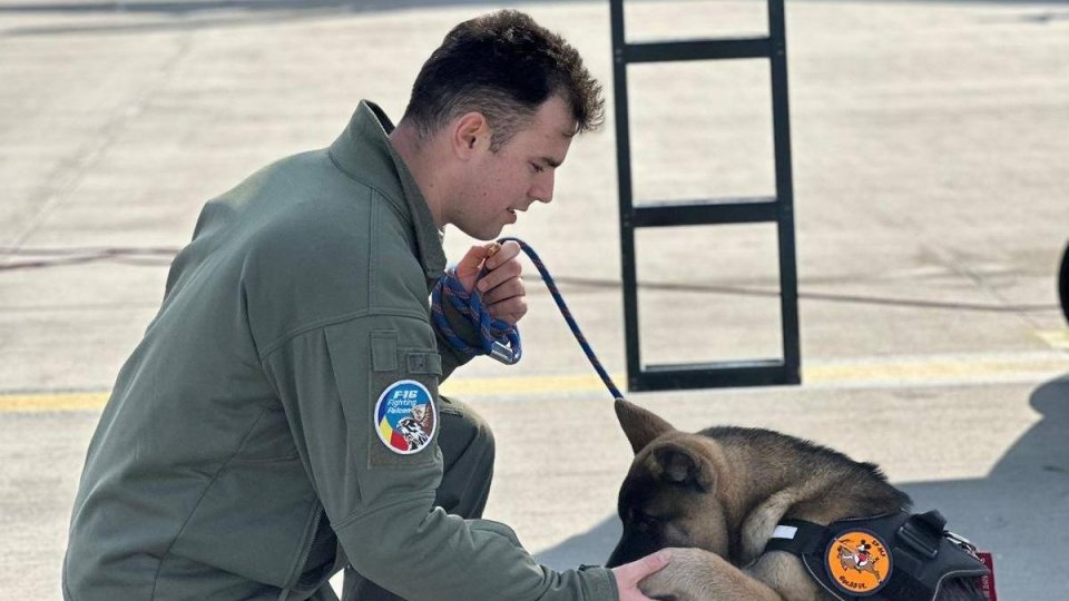 Gest incredibil de curaj al unui pilot F-16 din România. Căpitanul Octavian Palferenț a murit încercând să salveze un câine