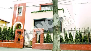 Andreea Marin a scapat de copacul urias care statea sa cada pe casa ei: Era uscat si reprezenta un pericol pentru noi!