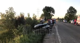 Galerie foto - poza 2