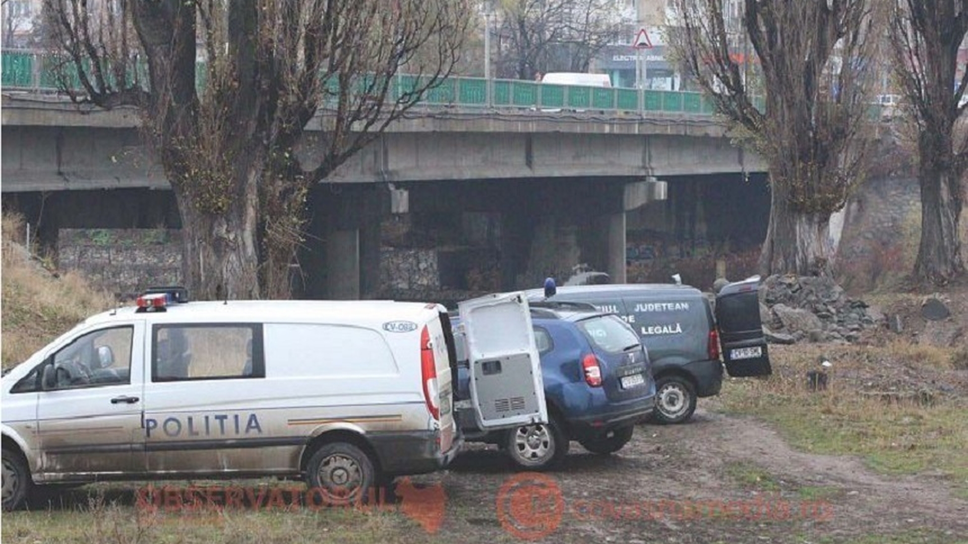 Caz ŞOCANT la Sfântu Gheorghe! Un adolescent de 16 ani a omorât un om, i-a băut sângele şi a mâncat din el