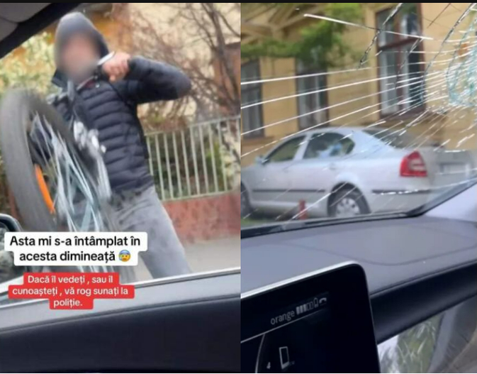 Agresorul Danei Roba s-a prezentat singur la secția de Poliție și și-a recunoscut fapta. Cum și-a justificat gestul revoltător