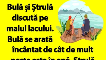 BANC | Bulă și Ștrulă discută pe malul lacului