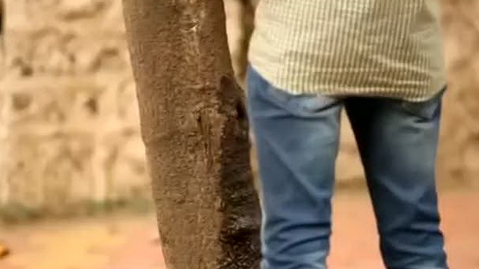 Ce patesc in India cei care urineaza in public: ASTA e cea mai tare solutie pentru a-i descuraja de acest obicei dezgustator