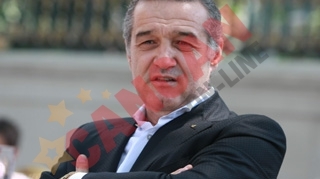 Steaua, in Liga Campionilor? Gigi Becali: "Azi mi-a venit o idee!" VEZI AICI ce revelatie a avut finantatorul din Ghencea!