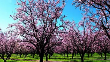 Va ploua sau va fi soare? Afla prognoza meteo pentru urmatoarele doua zile