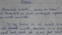 Ce a putut sa scrie un elev din Romania pe lucrarea de control! Toata clasa a ras de el iar profesoara i-a dat nota 4