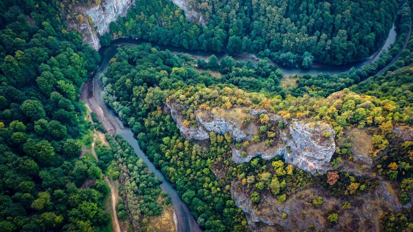Descoperire macabră la 1 metru de malul Crişului Repede. Au fost mobilizate două echipaje de pompieri