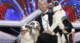 Galerie foto - poza 1