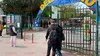 Cât costă un bilet la Delfinariu din Mamaia? Un adult trebuie să plătească aproape 75 de lei pentru a lua parte la o demonstrație