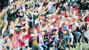 Bautura, "iarba" si ultrasi