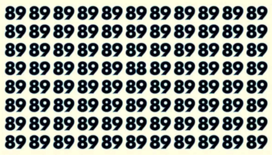 Test de perspicacitate: Găsește numărul 88. Sursă foto: jagranjosh.com