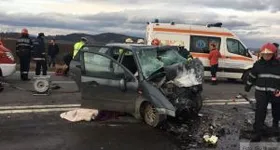 Galerie foto - poza 2