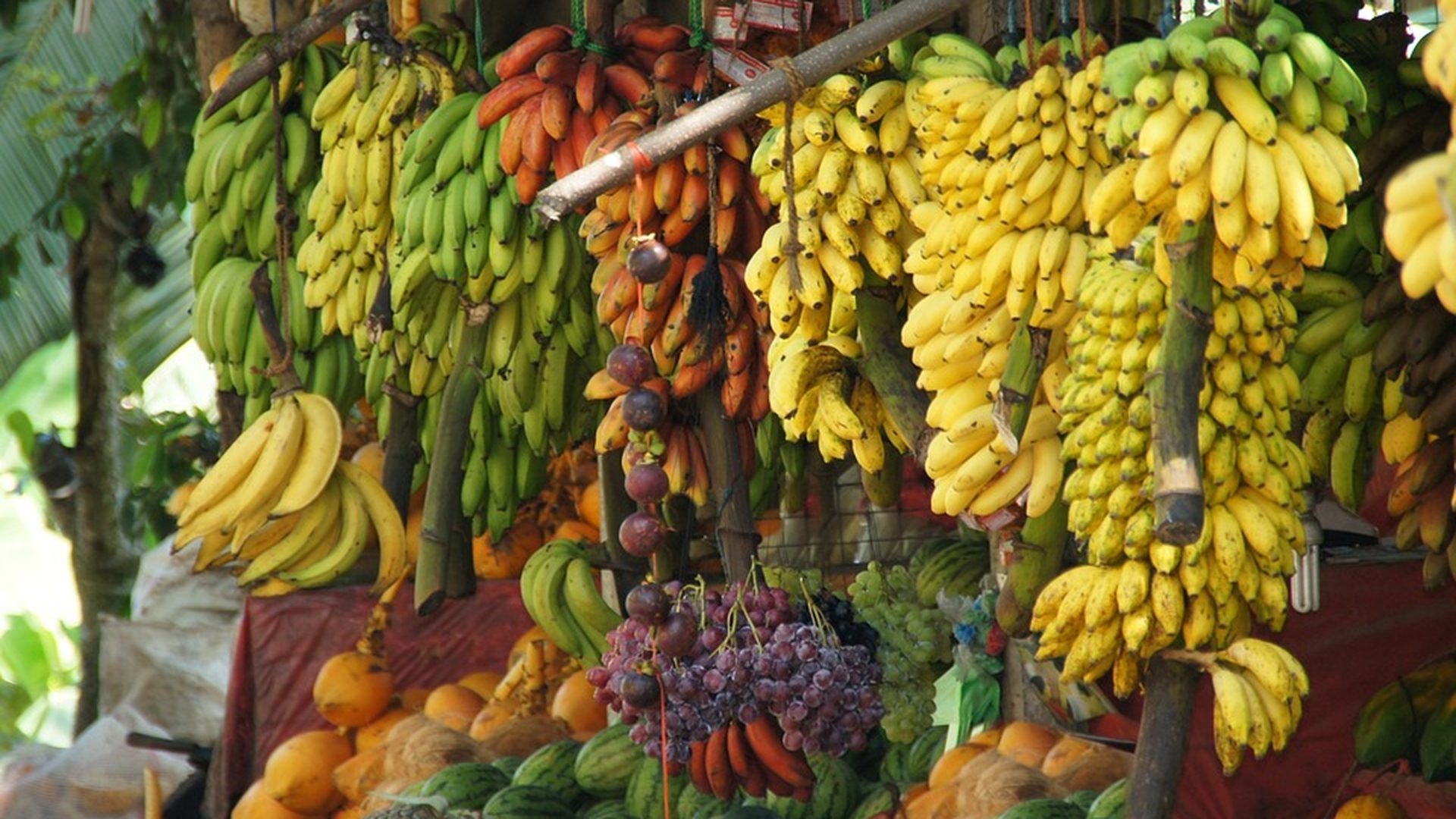 O româncă din Spania a devenit virală pe TikTok gătind cu alimente găsite în gunoi