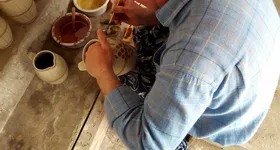 Galerie foto - poza 4