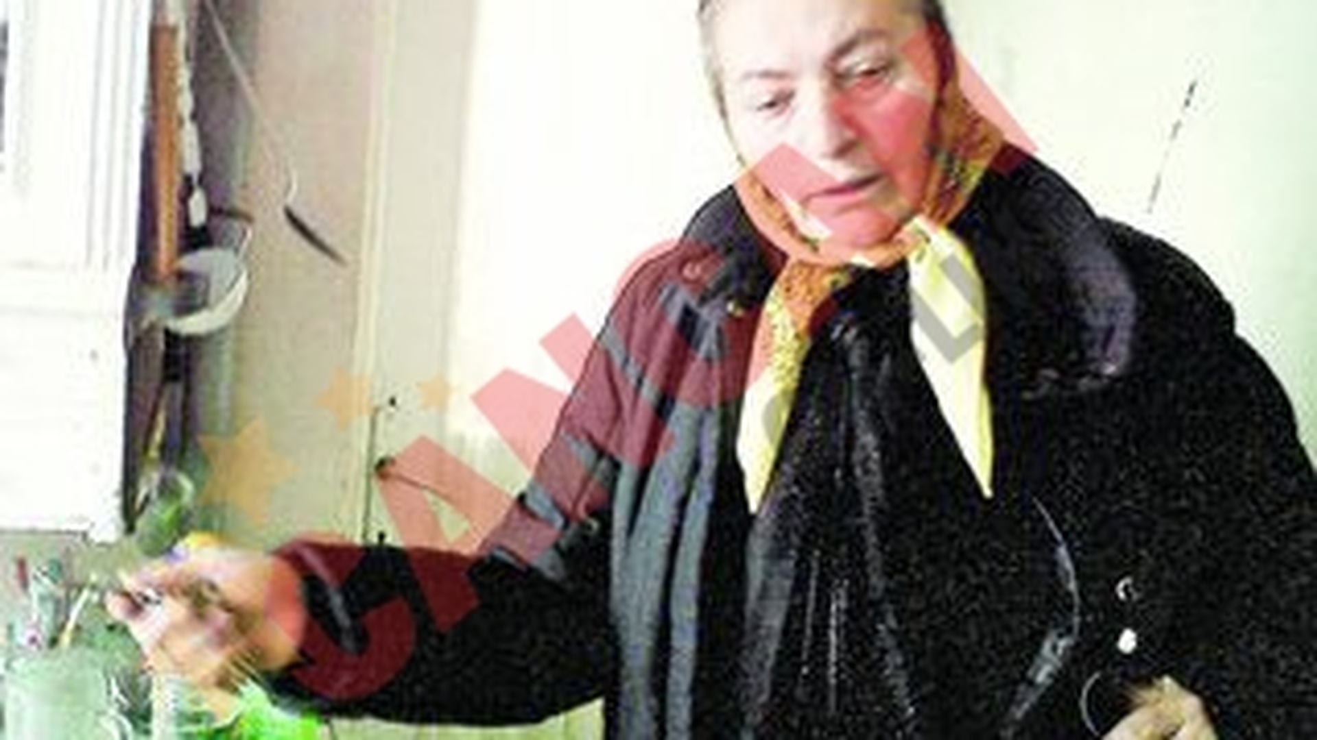 Doi hoti si-au facut culcus in casa ei