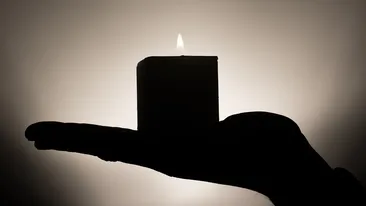 Doliu în lumea filmului! Actrița Julie Adams a murit, iar fiul ei a confirmat vestea tristă