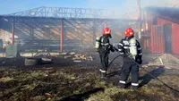 VIDEO. Incendiu violent la o fabrică de termopane din Argeș, la 10 metri de o stație GPL