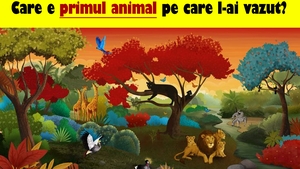 Test psihologic | Care e primul animal pe care l-ai văzut? Răspunsul îți va spune cea mai mare problemă pe care o ai